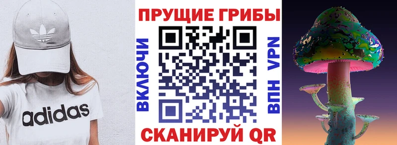 хочу наркоту  Похвистнево  Псилоцибиновые грибы ЛСД 